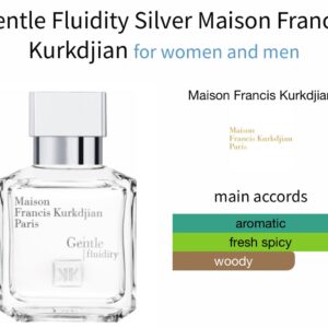 Gentle Fluidity Silver - Perfume oil impression